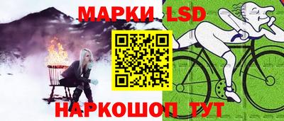spice Гатчина
