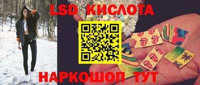 spice Гатчина