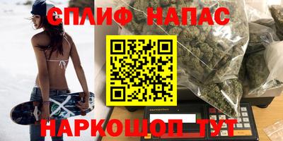 не бодяженный Гай