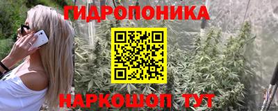 не бодяженный Гай