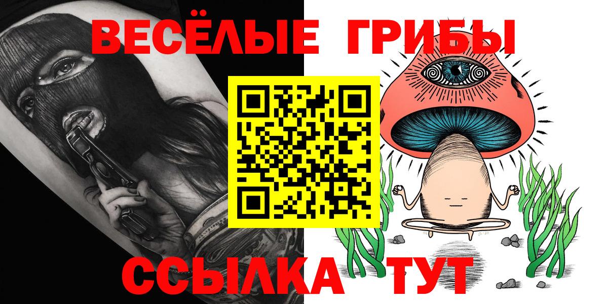 Кизляр  Псилоцибиновые грибы мицелий  Вход с VPN 
